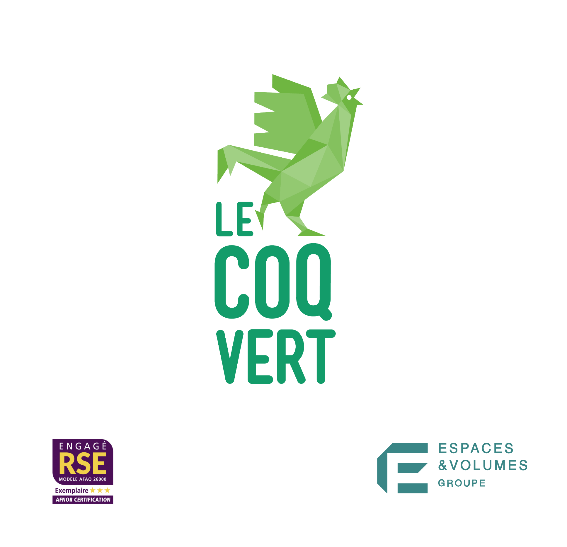 Maillot De Rugby Le Coq Sportif – VP XV Villeneuve Du Paréage, N°10, Vert, Taille L
